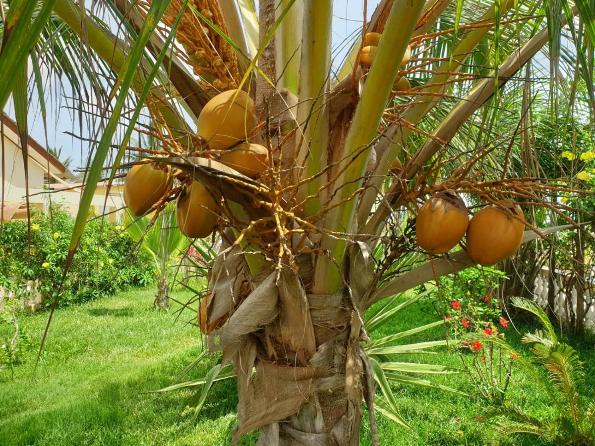 Kunta Kinteh Beach Complex Kotu Luaran gambar