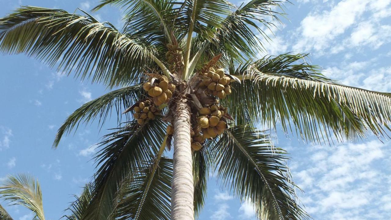 Kunta Kinteh Beach Complex Kotu Luaran gambar